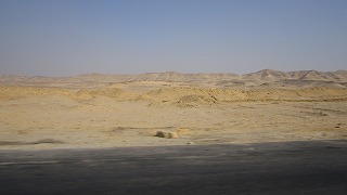 the Sahara