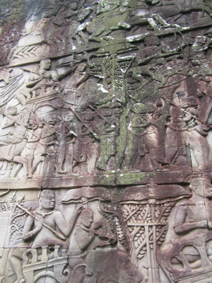 �O�i����