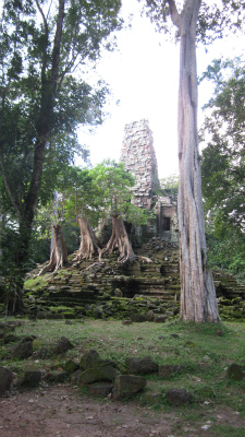 �v���A�E�p�����C