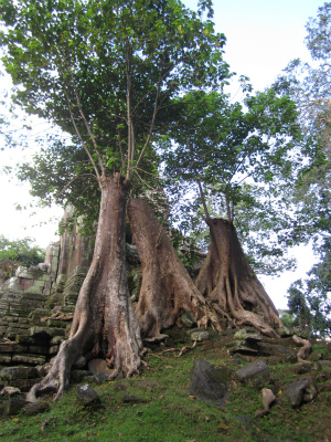 Preah Palilay