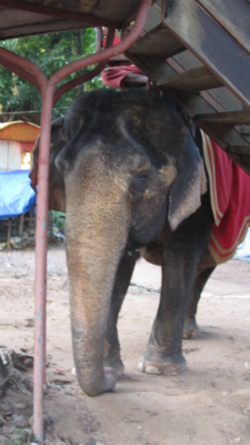 �]�E�̏�����ق����y